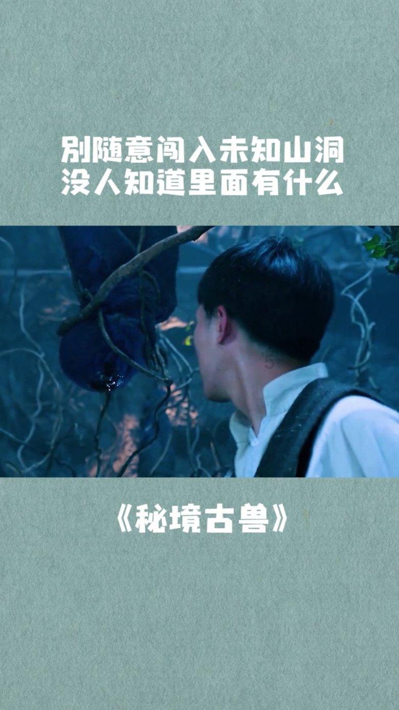 上升的五彩石