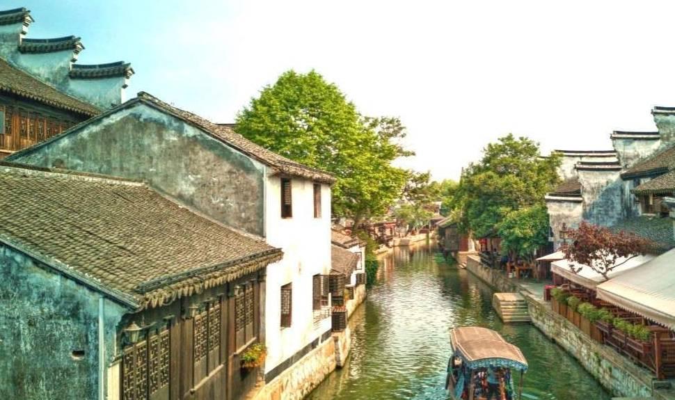 小长颈鹿逃离